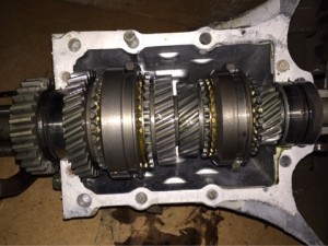 o0480036013329650062[1]