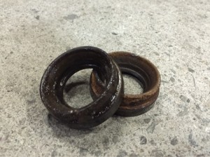 o0480036013451878002[1]
