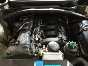 o0480036013444568287[1]