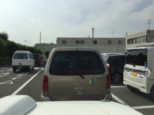 o0480036013448704234[1]