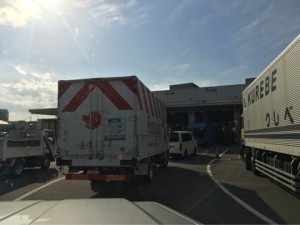 o0480036013468198217[1]